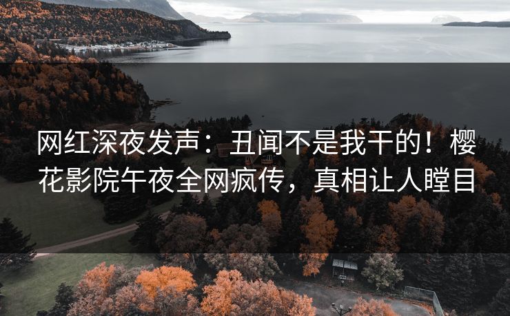 网红深夜发声：丑闻不是我干的！樱花影院午夜全网疯传，真相让人瞠目