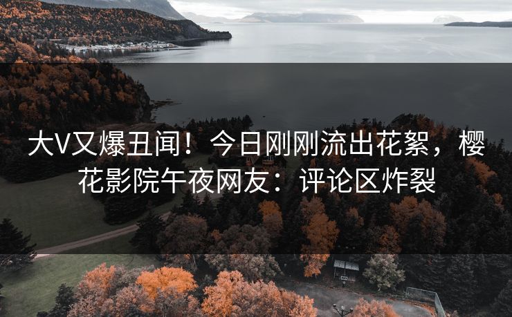 大V又爆丑闻！今日刚刚流出花絮，樱花影院午夜网友：评论区炸裂
