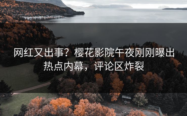 网红又出事？樱花影院午夜刚刚曝出热点内幕，评论区炸裂